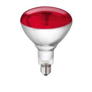 Warmtelamp lamp van gehard glas philips 150w 240v, rood -, Zakelijke goederen, Landbouw | Veevoer