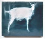 Erwin van Krey - Goat