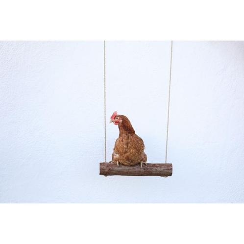 Balançoire à poules - kerbl, Animaux & Accessoires, Volatiles | Accessoires, Neuf