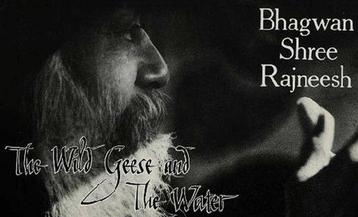 The Wild Geese and the Water - Osho (Bhagwan Shree Rajneesh), Verzenden