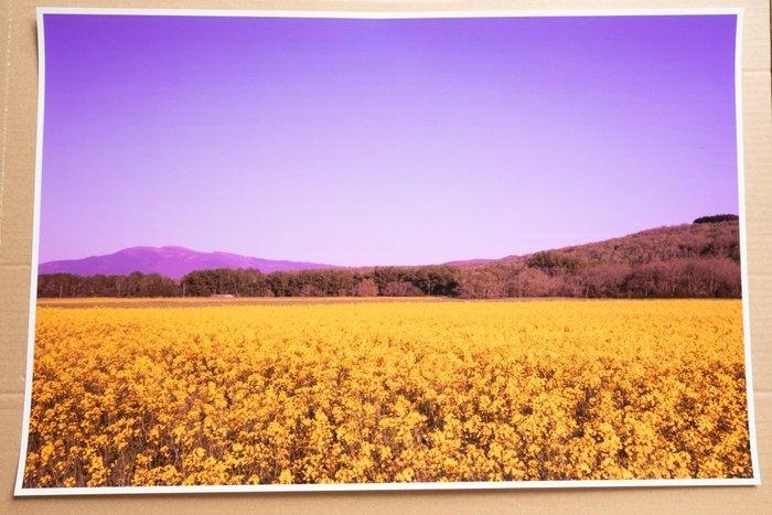 Viet Ha Tran - Purple sky, Antiek en Kunst, Kunst | Designobjecten