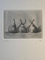 Anne Heyvaert (1959) - Pears