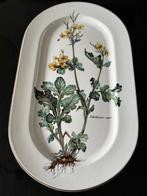 Villeroy & Boch - Dienblad - Botanica - Porselein, Antiek en Kunst