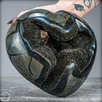 Cœur de dragon naturel en septarium - lart de la nature de