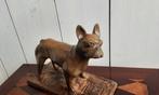 P. Chenet - Figure - Bulldog - 20 cm - Bronze