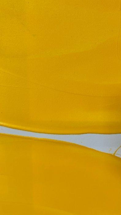 Stefanie Raus - Yellow II 869 XXL, Antiek en Kunst, Kunst | Schilderijen | Modern