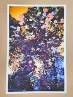 Viet Ha Tran - The breath of autumn III