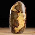 Septaria - Calcite et Aragonite - Forme libre - Hauteur :, Verzamelen