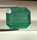 Zonder Minimumprijs - 1 pcs Groen Smaragd - 7.67 ct -, Nieuw