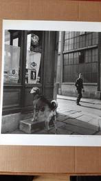 Robert Doisneau - sans titre, Collections, Appareils photo & Matériel cinématographique