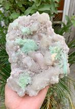 Cristaux de Morganite associés à des cristaux de Tourmaline