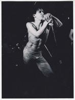 Jean-Louis Rancurel - Iggy Pop, Antiquités & Art, Art | Peinture | Moderne