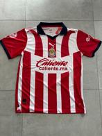 Deportivo Guadalajara - Mexicaans kampioenschap - Chicharito, Verzamelen, Overige Verzamelen, Nieuw