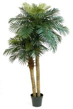 Kunstplant Phoenix Palmboom Double 210 cm, Huis en Inrichting, Verzenden