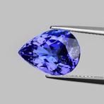 Blauw, Violet Tanzaniet  - 6.66 ct - International, Nieuw