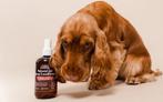 REF Furry Friends Spray Conditioner (Leave-in Conditioner), Verzenden, Nieuw