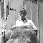 Cameraphoto Epoche/Vittorio Pavan - Circo Togni- Venezia,, Antiquités & Art