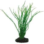 Osaka aquarium kunst plant Sagittaria 20cm art. 502, Ophalen of Verzenden, Plant(en), Steen of Hout