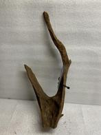 Am 663 Fine Sinkingwood 42z18x8 cm aquarium decoratie hout, Verzenden, Plant(en), Steen of Hout