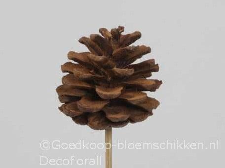 Dennenappels op draad/stick grootverpakking cinnamon doos, Huis en Inrichting, Woonaccessoires | Kunstplanten en Kunstbloemen