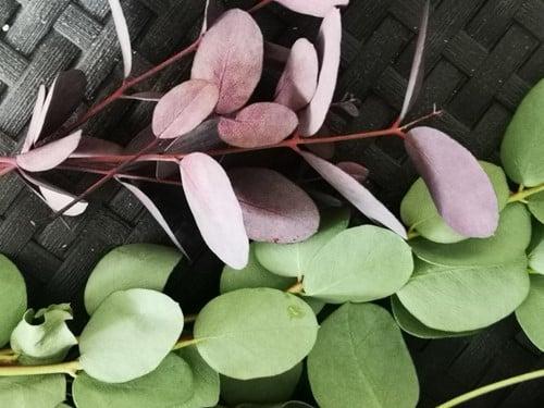 Bloemenzuigverf Aquatint 70 Goud voor verse bloemen 30ml, Huis en Inrichting, Woonaccessoires | Kunstplanten en Kunstbloemen, Nieuw