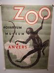 Robert Landois (1902-1982) - Zoo van Antwerpen - 1954