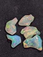 15,64 ct - AAA natuurlijke kostbare Welo-opalen, gepolijst