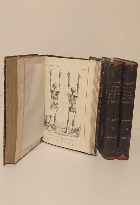 Raspail, Vincent François - Histoire naturelle de la santé, Antiek en Kunst, Antiek | Boeken en Manuscripten