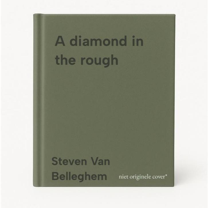 A diamond in the rough 9789401495462 Steven Van Belleghem, Boeken, Taal | Engels, Zo goed als nieuw, Verzenden
