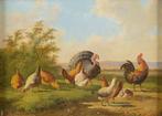 Albertus Verhoesen (1806-1881) - Chickens a rooster and a, Antiek en Kunst, Kunst | Schilderijen | Klassiek