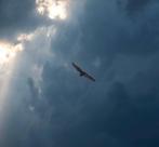 David Law - Skyline IV