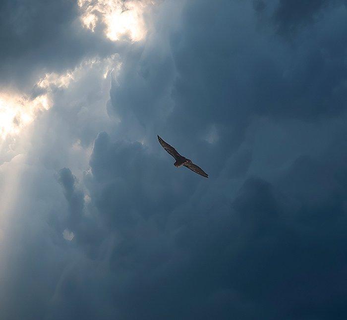 David Law - Skyline IV, Antiquités & Art, Art | Objets design