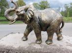 Beeld, large statue of elephant in excellent finish - 52 cm