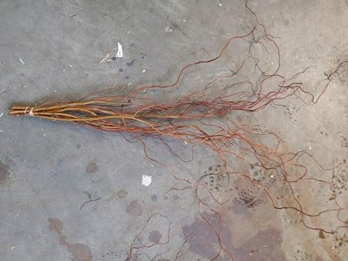 Kronkelwilg lange paastakken ca. 110 cm bundel, Hobby en Vrije tijd, Knutselen, Nieuw