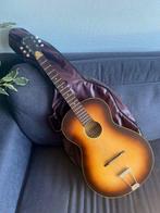 Framus - Folk/blues parlor 5/3 64A + housse - - Guitare de, Muziek en Instrumenten, Snaarinstrumenten | Gitaren | Akoestisch, Nieuw