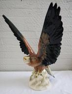 Hertwig & Co. (Katzhütte) - Beeld, Visarend - 46 cm -