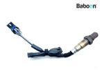 Lambda Sonde Can-Am Ryker 900 ACE 2019-2021