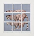 Maurizio Galimberti (1956) - Leopard