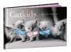 Catkids 9789045308807, Livres, BD, Envoi