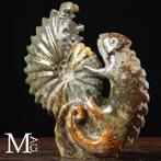 Fossil Sculpture Uitgehouwen Cleoniceras ammoniet met iguana