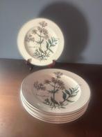 Villeroy & Boch - Bord (6) - Botanica - Vitro - Soep/pasta