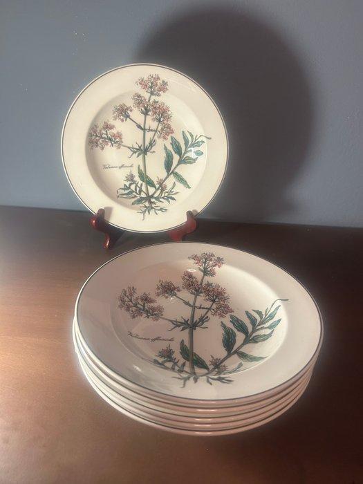 Villeroy & Boch - Bord (6) - Botanica - Vitro - Soep/pasta, Antiek en Kunst, Antiek | Meubels | Tafels