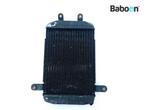 Radiateur Suzuki AN 400 Burgman 1998-2000 (AN400), Verzenden, Nieuw