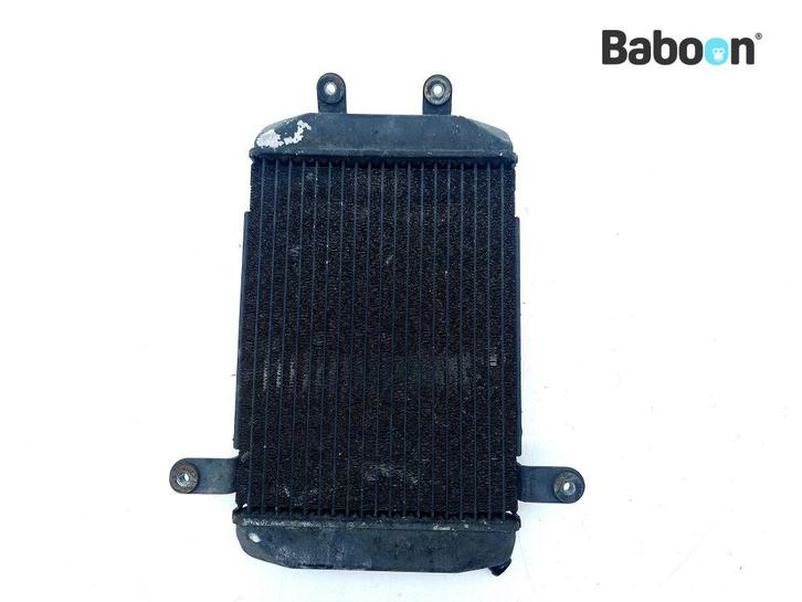 Radiateur Suzuki AN 400 Burgman 1998-2000 (AN400), Motoren, Onderdelen | Suzuki, Verzenden