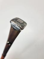 Wandelstok - Hoorn, Bamboe