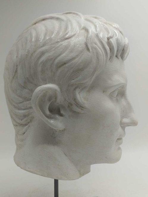 Sculpture, Testa di Augusto - 39 cm - poudre de marbre, Antiek en Kunst, Antiek | Keramiek en Aardewerk