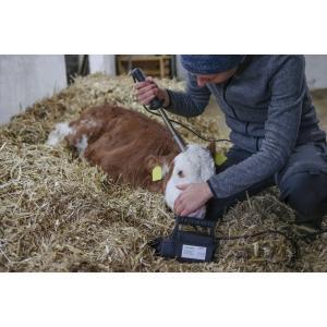 Ecorneur eurofarm avec transfo 24v/250w, Articles professionnels, Agriculture | Aliments pour bétail