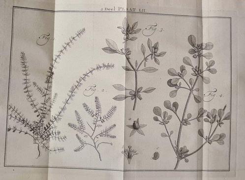 [Martinus Houttuyn] - Natuurlyke Historie, Of uitvoerige, Antiek en Kunst, Antiek | Boeken en Manuscripten