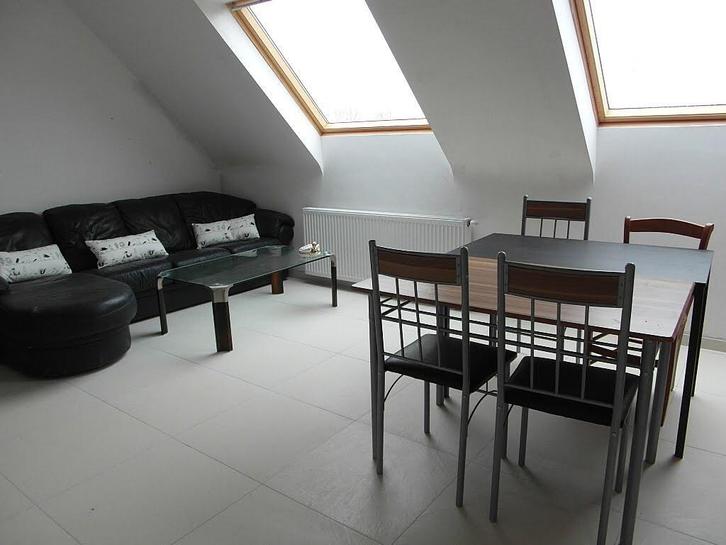 Vlaanderen-Personeelshuisvesting-Staff housing-logement pers, Immo, Maisons à louer