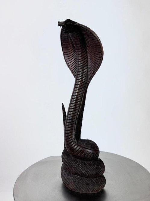 Sculpture, Copra scolpito il legno - 40 cm - Bois, Antiek en Kunst, Kunst | Designobjecten